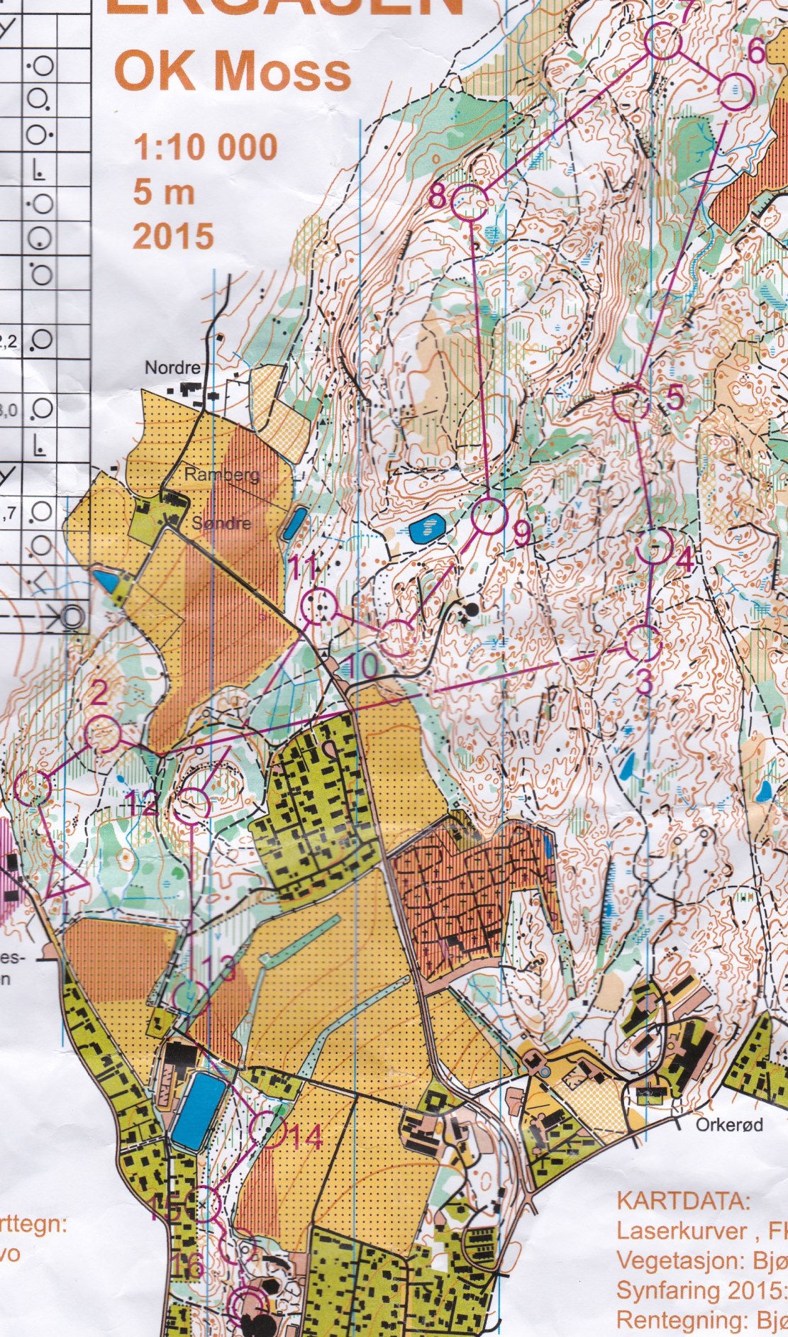 Nyttårsløpet 2015 (2015-12-31)