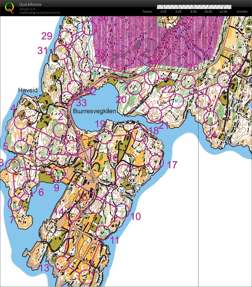 Postplukk Dvergsnes (08-04-2018)