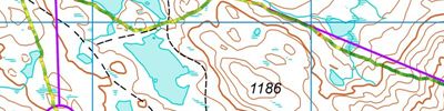 Fjelløpene i Vinje dag 1