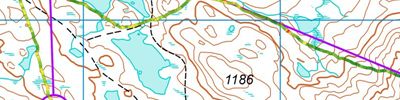 Fjelløpene i Vinje dag 1