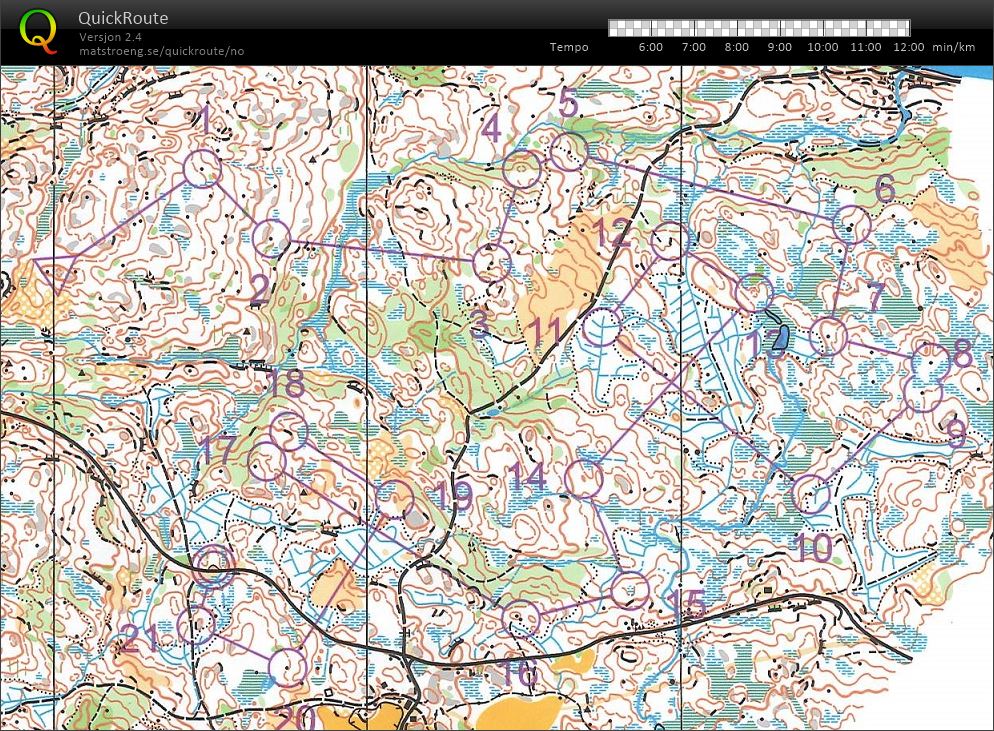 Mellomdistanse Gåseflå (15.08.2018)