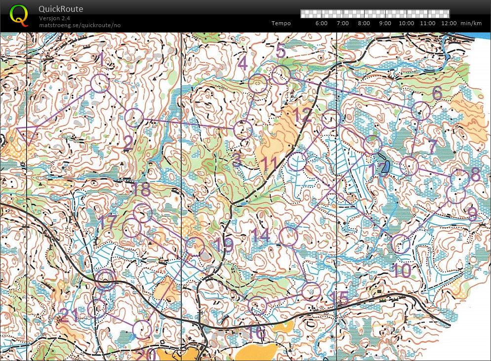 Mellomdistanse Gåseflå (15-08-2018)