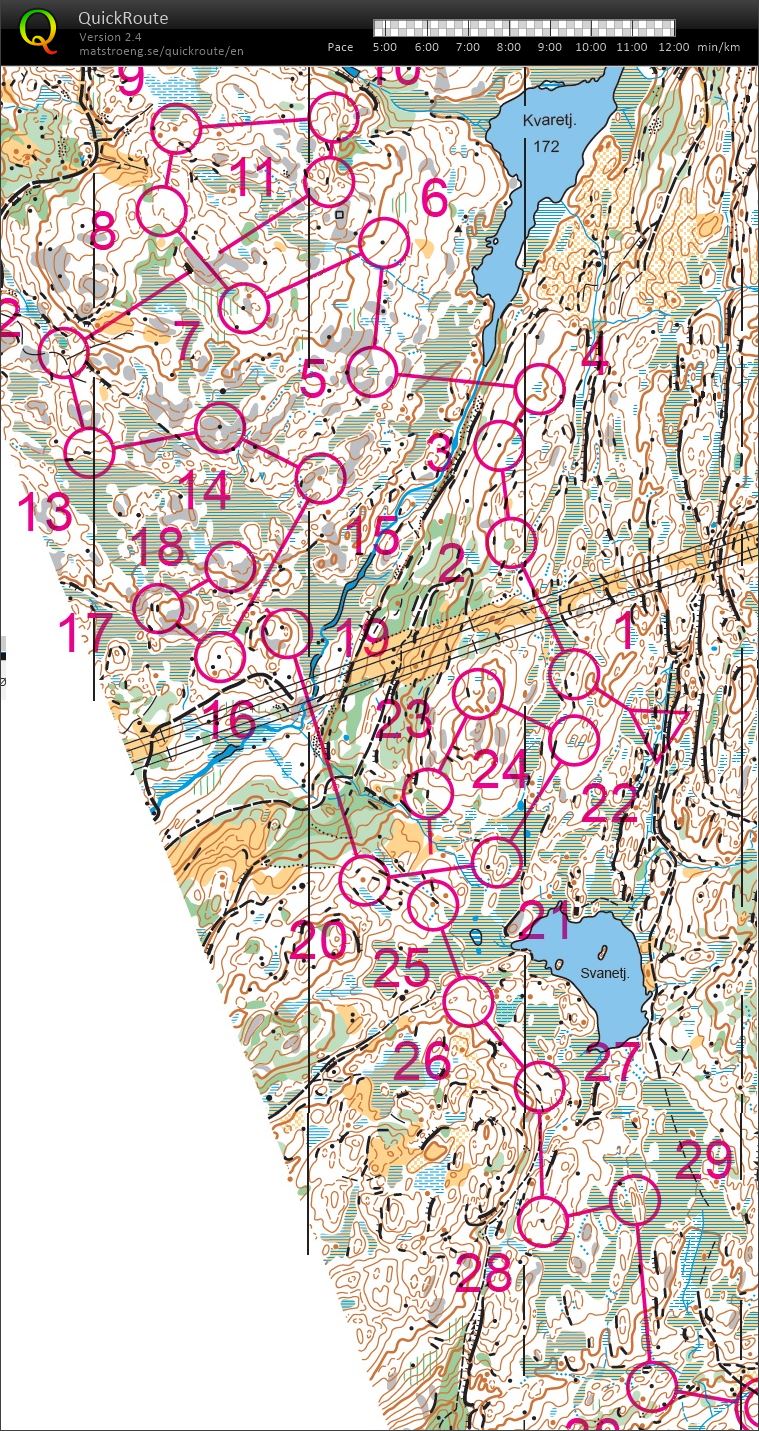 Postplukk Steinsland (2019-06-29)