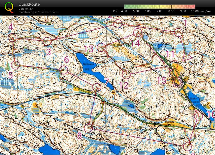 Torridalsløpet/KM lang (11.06.2023)